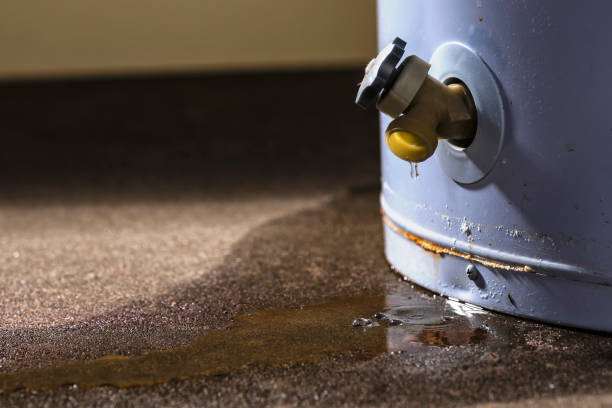 Best Flood damage cleanup  in Hart, MI