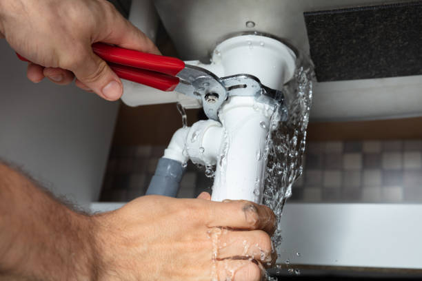 Best Professional water damage repair  in Hart, MI