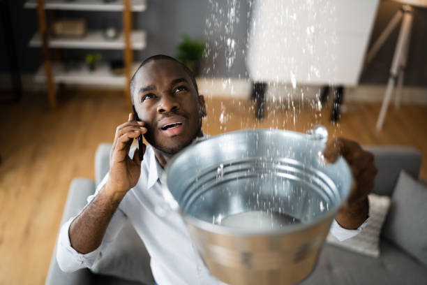Best Commercial water damage restoration  in Hart, MI