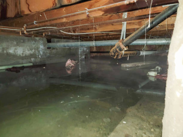 Best Flooded house restoration  in Hart, MI