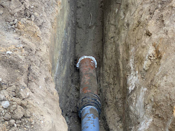 Best Flood restoration services  in Hart, MI
