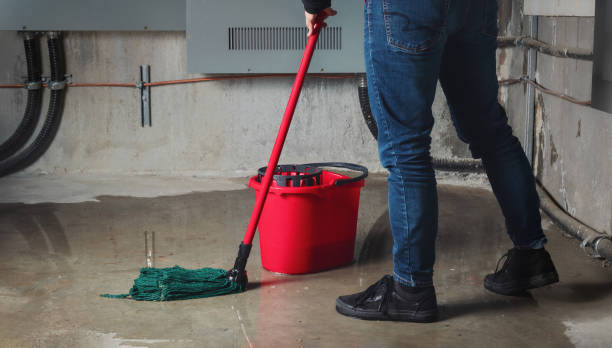 Best Ceiling water damage repair  in Hart, MI