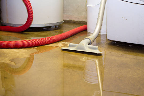 Best Flood damage cleanup  in Hart, MI