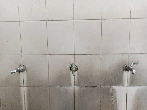 Best Water damage restoration near me  in Hart, MI