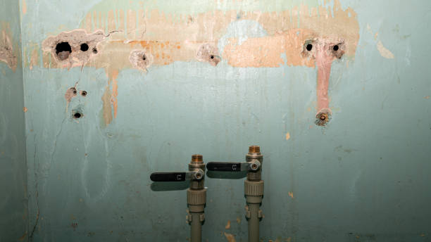 Best Water damage contractors near me  in Hart, MI
