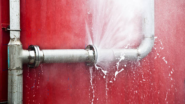 Best Carpet water damage restoration  in Hart, MI